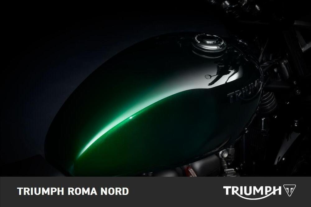 Triumph Speed Twin 900 (2023 - 24) (3)