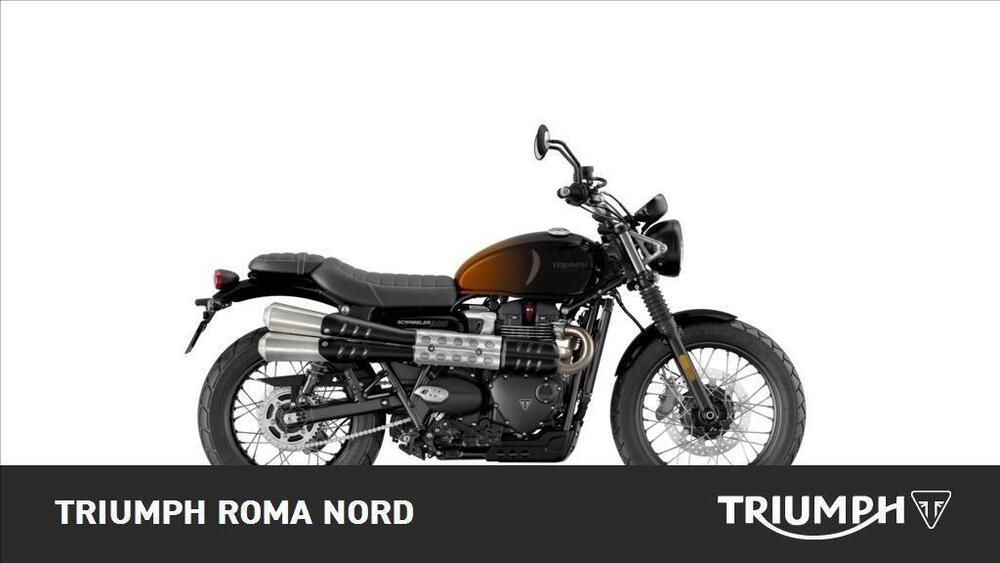 Triumph Scrambler 900 (2023 - 24) (3)