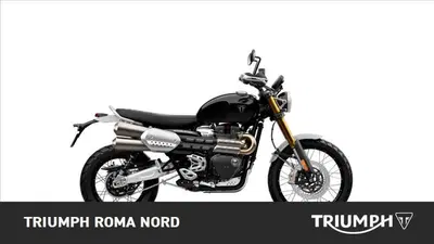 Triumph Scrambler 1200 XE (2024 - 25) nuova