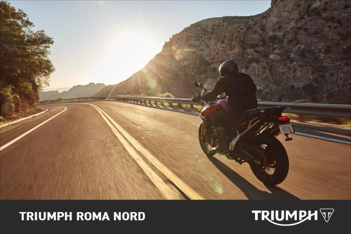 Triumph Tiger 900 GT (2024 - 26) (5)