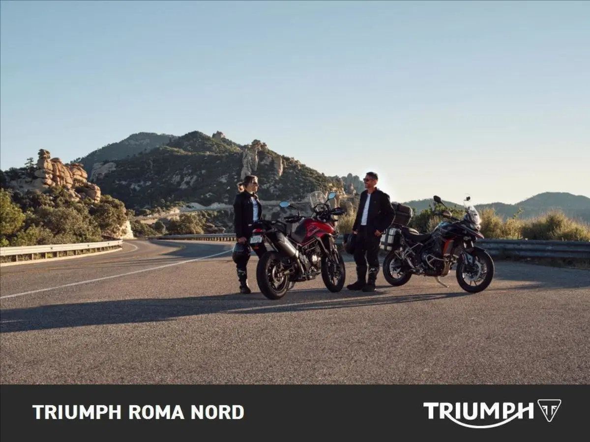 Triumph Tiger 900 GT (2024 - 26) (4)