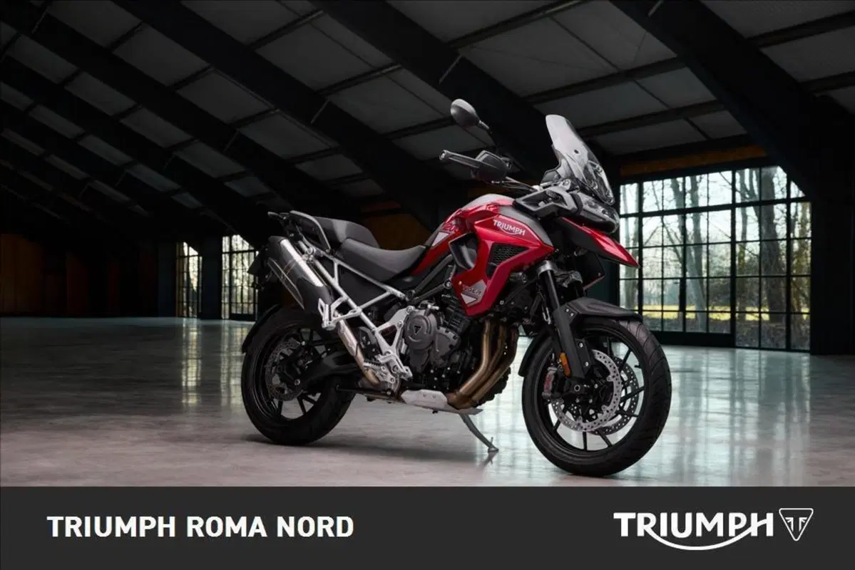 Triumph Tiger 1200 GT Pro (2024 - 26) (4)
