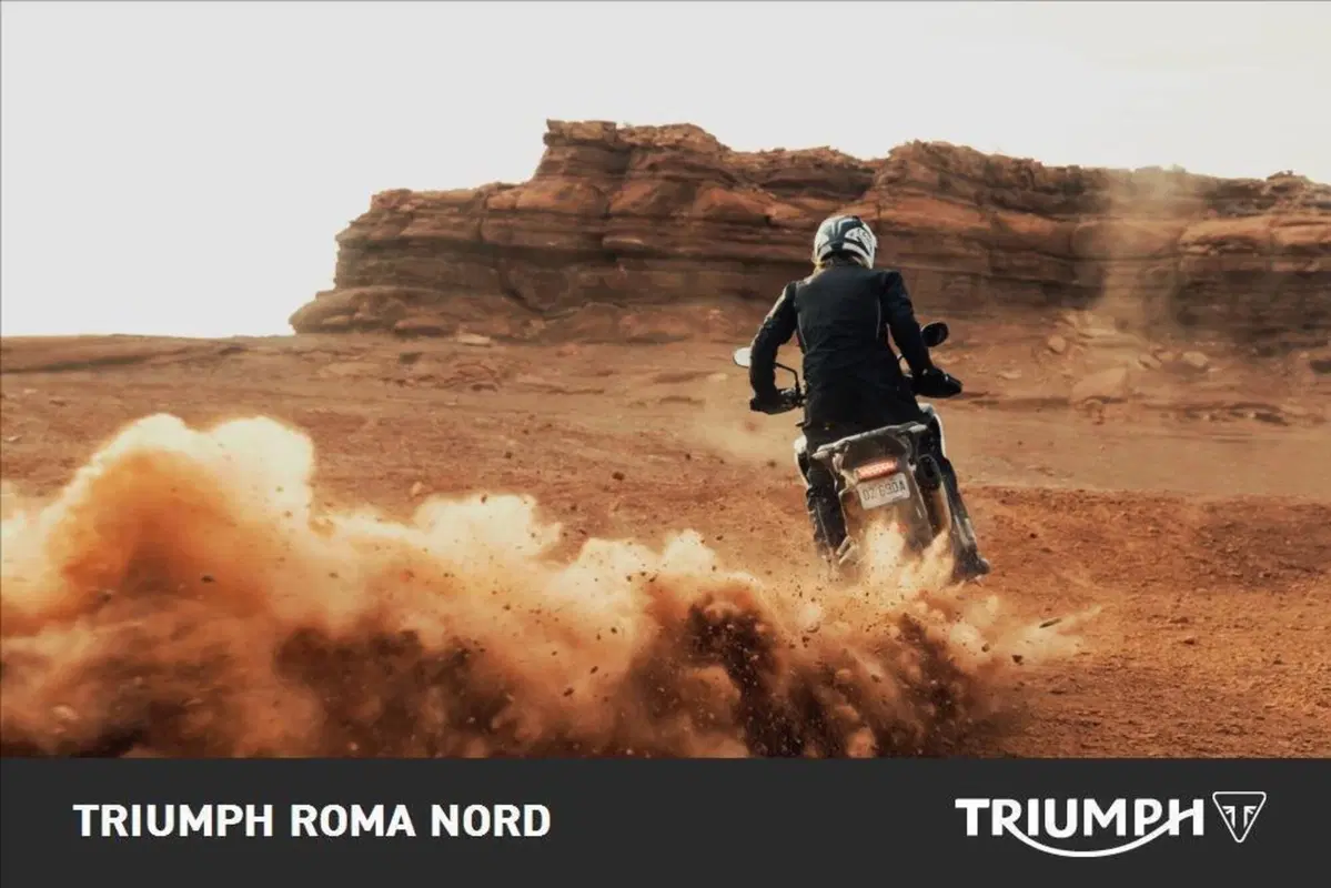 Triumph Tiger 1200 Rally Pro (2024 - 26) (5)