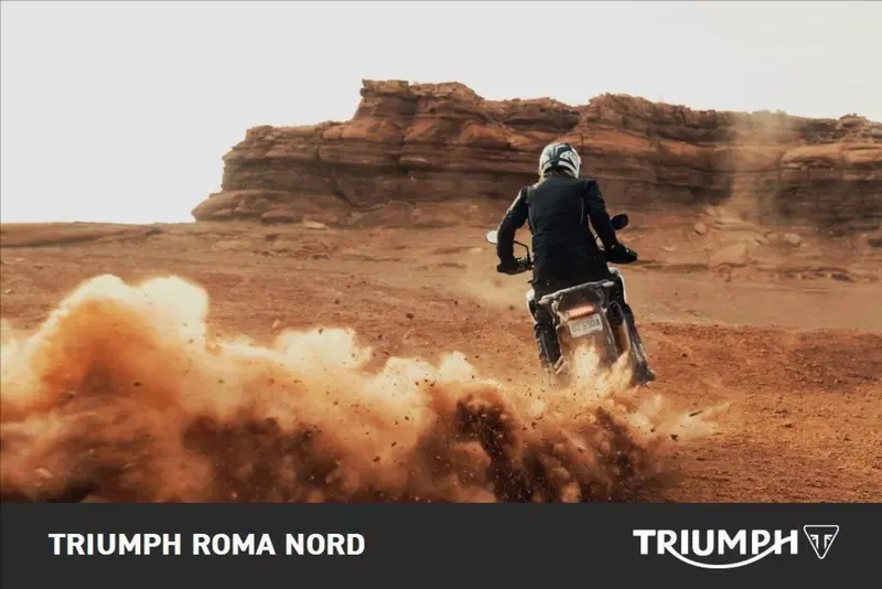 Triumph Tiger 1200 Rally Pro (2024 - 26) (5)