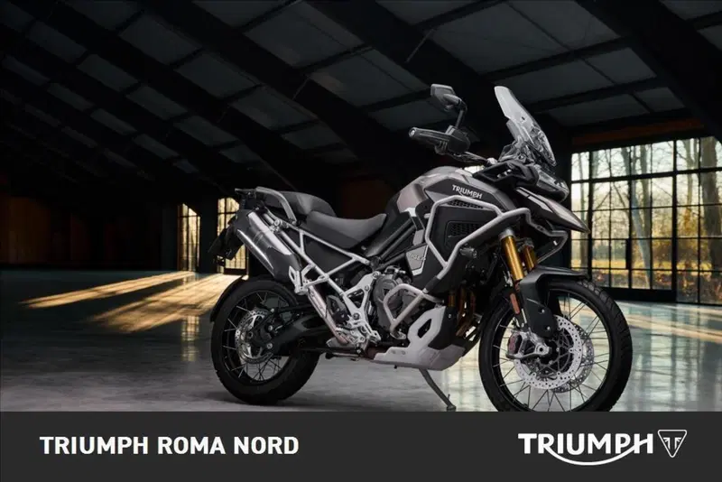 Triumph Tiger 1200 Rally Explorer (2024 - 26) (2)