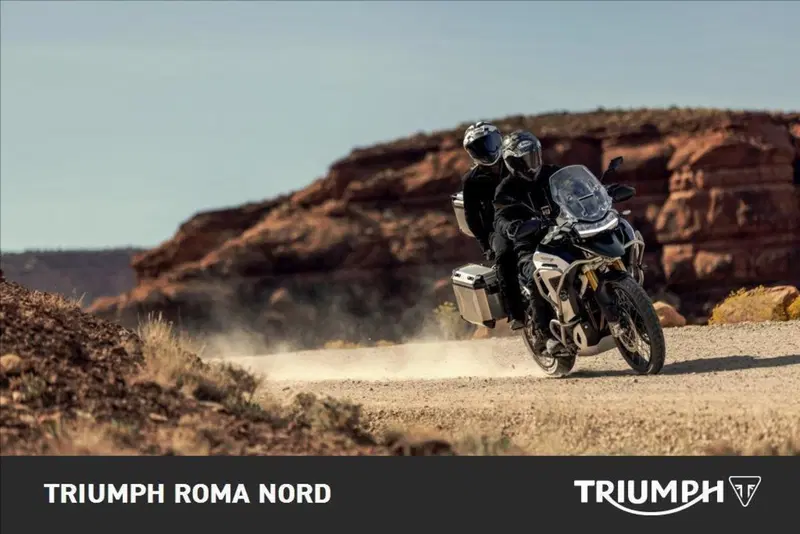 Triumph Tiger 1200 Rally Explorer (2024 - 26) (5)