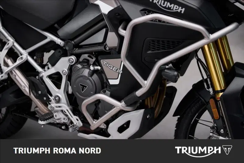 Triumph Tiger 1200 Rally Explorer (2024 - 26) (4)