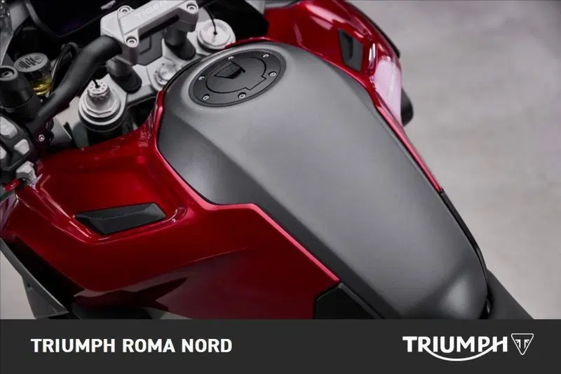Triumph Tiger 1200 GT Explorer (2024 - 26) (4)