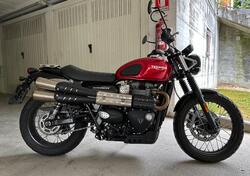 Triumph Street Scrambler 900 (2019 - 20) usata