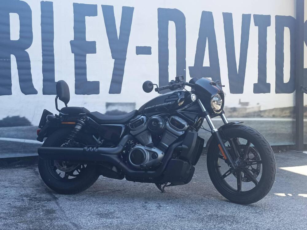 Harley-Davidson Nightster (2023 - 24)