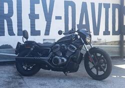 Harley-Davidson Nightster (2023 - 24) usata