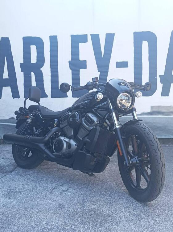 Harley-Davidson Nightster (2023 - 24) (3)