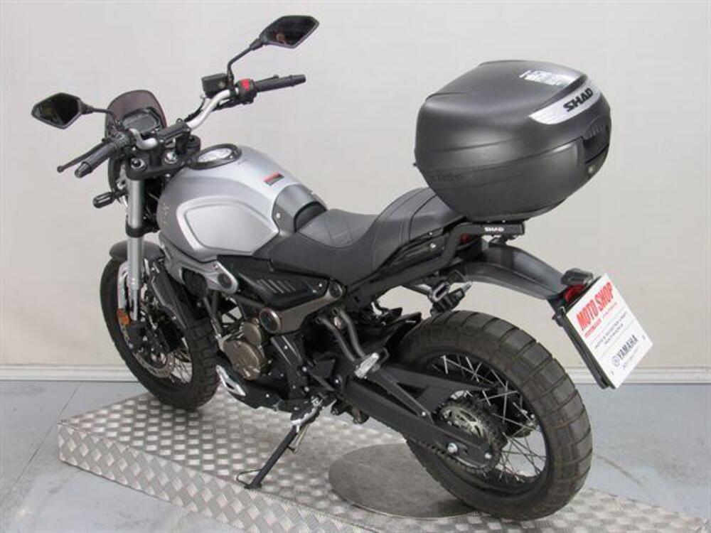 Voge Trofeo 300ACX Scrambler (2021 - 24) (5)