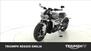 Triumph Rocket 3 R (2019 - 20) (6)