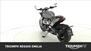 Triumph Rocket 3 R (2019 - 20) (8)