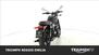 Triumph Bonneville T120 (2021 - 24) (8)