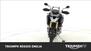 Triumph Tiger 1200 Rally Pro (2022 - 23) (6)