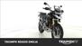 Triumph Tiger 1200 Rally Pro (2022 - 23) (7)