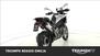 Triumph Tiger 1200 Rally Pro (2022 - 23) (8)