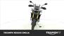 Triumph Tiger 900 Rally Pro (2020 - 23) (6)