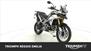 Triumph Tiger 900 Rally Pro (2020 - 23) (7)