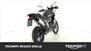 Triumph Tiger 900 Rally Pro (2020 - 23) (8)