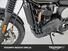 Triumph Street Scrambler 900 (2021 - 22) (15)