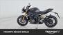 Triumph Speed Triple 1200 RR (2022 - 24) (7)