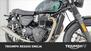 Triumph Speed Twin 900 (2023 - 24) (11)