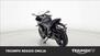 Triumph Daytona 660 (2024) (8)