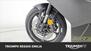 Triumph Daytona 660 (2024) (11)