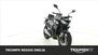 Triumph Street Triple R (2020 - 23) (7)