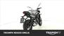 Triumph Street Triple R (2020 - 23) (8)