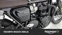 Triumph Bonneville T120 (2021 - 24) (17)