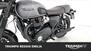 Triumph Bonneville T120 (2021 - 24) (27)