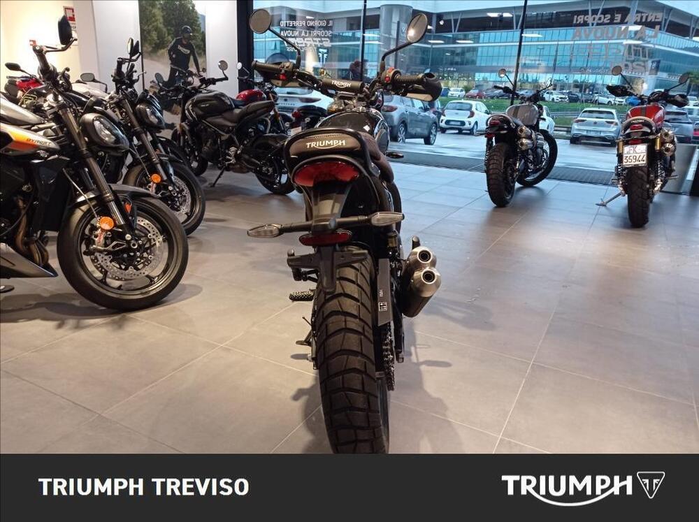 Triumph Scrambler 400 X (2024) (5)