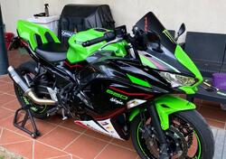 Kawasaki Ninja 650 Performance (2021 - 24) usata