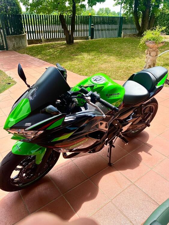 Kawasaki Ninja 650 Performance (2021 - 24) (2)