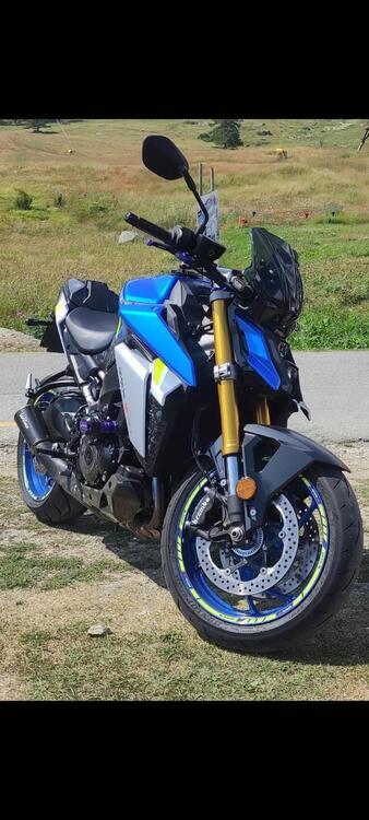 Suzuki GSX-S1000 (2021 - 24)