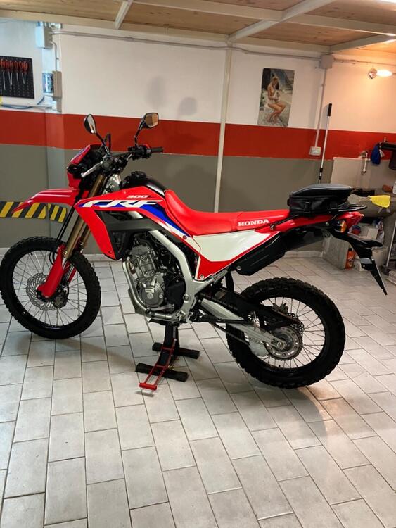 Honda CRF 300 L (2021 - 24) (3)