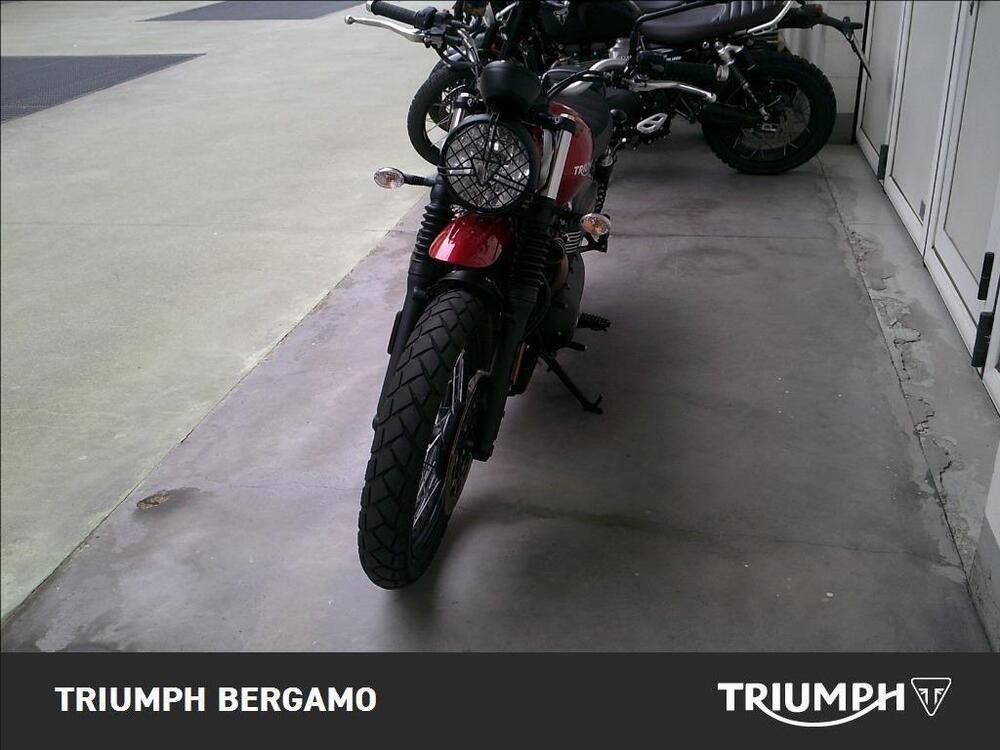 Triumph Street Scrambler 900 (2019 - 20) (5)