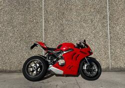 Ducati Panigale V4 (2022 - 24) usata