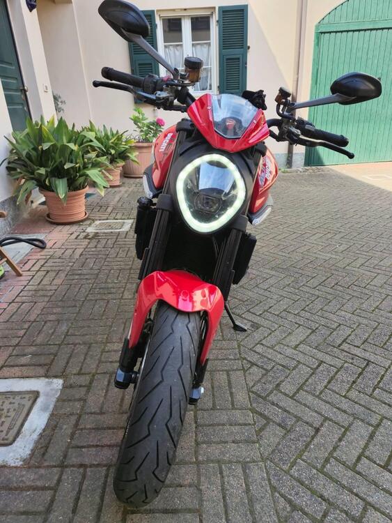 Ducati Monster 937 + (2021 - 24) (2)