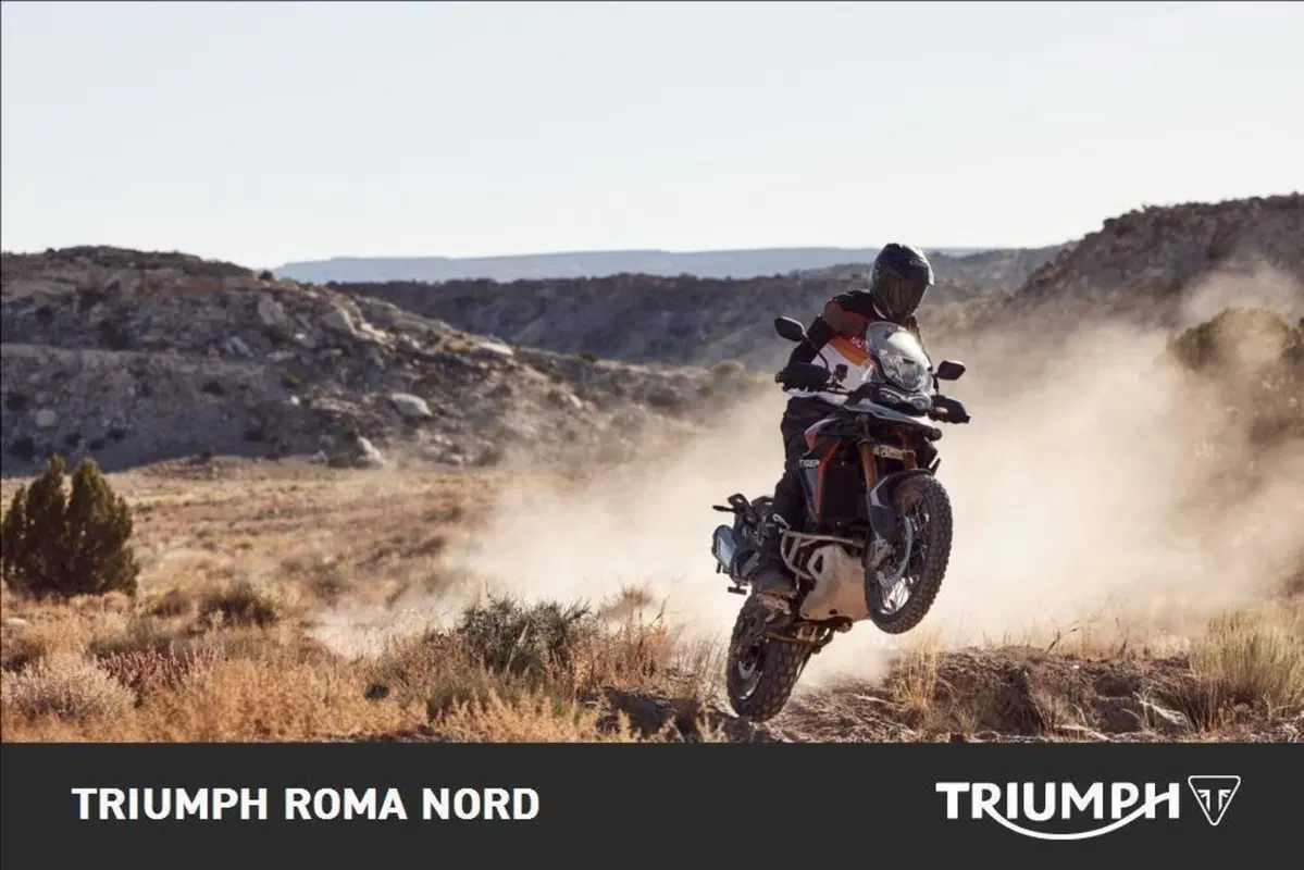 Triumph Tiger 900 Rally Pro (2024 - 26) (5)