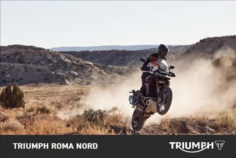 Triumph Tiger 900 Rally Pro (2024 - 26) (5)