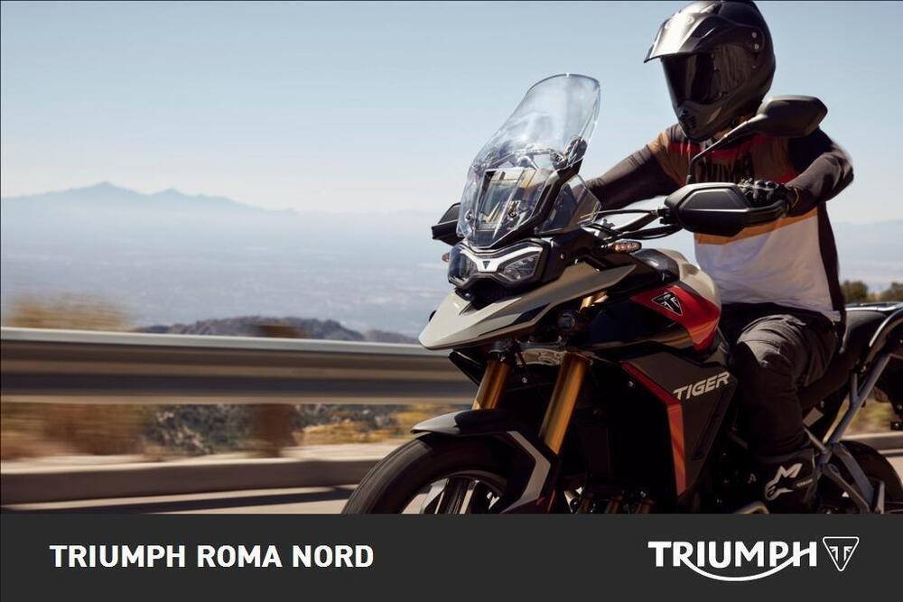 Triumph Tiger 900 GT Pro (2024) (4)