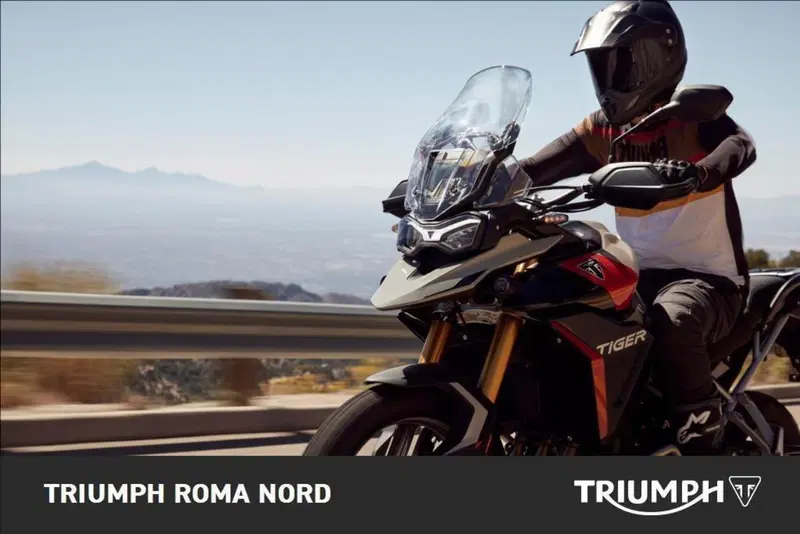 Triumph Tiger 900 Rally Pro (2024 - 26) (4)