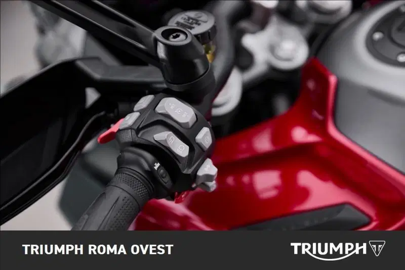 Triumph Tiger 1200 GT Explorer (2024 - 26) (3)