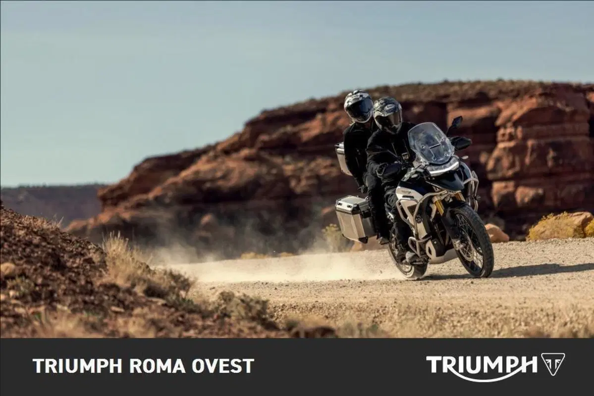 Triumph Tiger 1200 Rally Explorer (2024 - 26) (5)