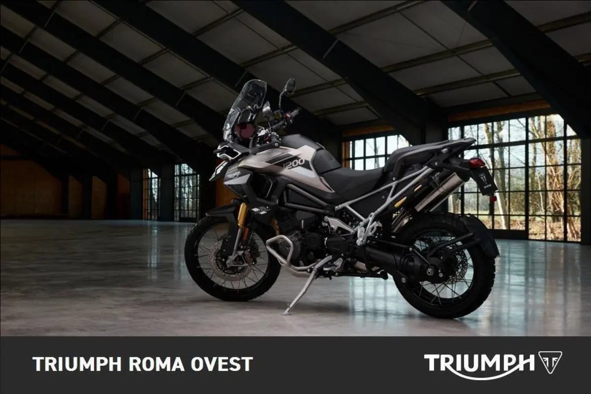 Triumph Tiger 1200 Rally Pro (2024 - 26) (3)